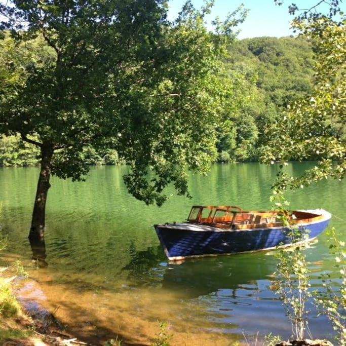 Lake House I // Alauzet Ecolodge + Nature Spa Castelnau-de-Mandailles Exterior photo